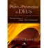 O Plano Da Promessa De Deus, De Walter C. Kaiser Jr.. Editora Vida Nova Em Português, 2011