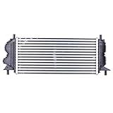 OAutoSjy FO3012115 Turbo Intercooler