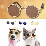 Óculos De Sol Lennon Sortido Protetor Visual Pet Para Cachorro E Gato Animais De Estimação Pequeno Porte