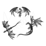 Oculos Escuros De Grau