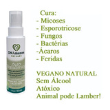 Cão