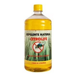 1l