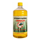 1l