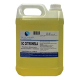 5l