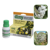 Dimy