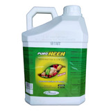 Óleo De Neem Puro 5 L Quimiagri Natural Orgânico Hidroponia