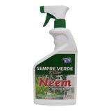 750ml