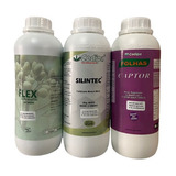 Oleo De Nim 1l Silintec 1l Captor 1l Inseticida Natural
