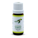 10ml