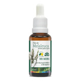 Óleo Essencial De Melaleuca Pronto P Uso 30ml Tea Tree Wnf Tipo De Embalagem Frasco