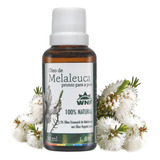 Óleo Essencial De Melaleuca Pronto P Uso 30ml Tea Tree Wnf Tipo De Embalagem Frasco