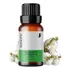 Oleo Essencial De Melaleuca Tea Tree 100% Puro Aromaterapia Dermopac 10ml