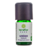 Óleo Essencial Natural De Gerânio Roseum 5ml Terra Flor