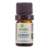 Óleo Essencial Natural De Ravensara 5ml Terra Flor
