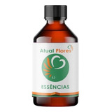 Óleo Essencial P Velas Atual Essencia 100ml Eucalipto