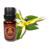 Óleo Essencial Ylang Ylang   Alívio Da Ansiedade