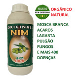 Oleo Neem Nim Puro Concentrado Orignal excelente Qualidade