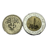 One Pound 2019 Egito