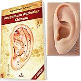 Orelha De Silicone Auriculoterapia Livro Acupuntura Auricular Chinesa