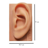 Orelha De Silicone Lado Esquerdo P Auriculoterapia Treino