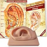 Orelha De Silicone  Mapa Aurículoterapia E Livro Acupuntura Auricular Chinesa