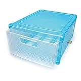 ORGANIZADOR DE CALÇADOS AZUL