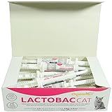 Organnact Lactobac Cat 16G Display
