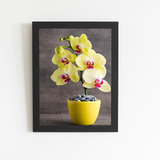 Orquídeas Amarelas Em Vaso Quadro Moldura