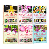 Orquideas Guia Indispensavel 6