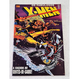Os Fabulosos X men