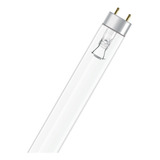 Osram Lamp