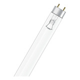 Osram Lampada