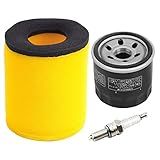 OuYi Filtro De Ar 13780 03G00 Filtro De óleo 1651003G00 Com Vela De Ignição De Substituição Para Suzuki Eiger 400 LTA400 2x4 LTA400F 4x4 Auto 2003 2007 King Quad 400 LTA400F LTF400F 4x4 2008 2012