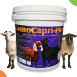 Ovinocapri 10kg Suplemento Monensina Ovino Caprino Engorda