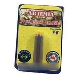 Ovo De Artemia Com Casca 5g