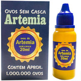 Ovos De Artemia Sem