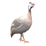 12un