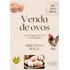 Ovos Galado Galinha Rhode Island Red Embalados 12 Unidades