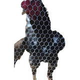 Ovos Galados Indio Gigante