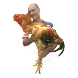 Ovos Indio Gigante Ovos Galados Férteis Duzia De 13