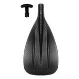 Carbono