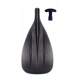 Carbono