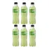 Pack 6 Und Chá Verde Leão Garrafa 450ml