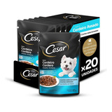 Pack Ração Úmida Cesar Para Cães Adultos Sachês Cortes Selecionado Cordeiro Assado Ao Molho 85g Caixa Com 20 Unidades