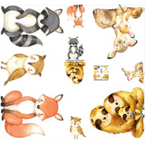Pacotao Kits Displays E