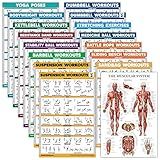 Pacote Com 16 Conjunto De Pôsteres De Exercícios Haltere Suspensão Kettlebell Faixas De Resistência Bola Medicinal Corda De Batalha Alongamento Peso Corporal Haltere Ioga Bola De