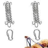 Pacote Com 2 Extensões De Coleira Elástica De Metal Para Cães Grandes Acessório De Cabo De Amarração Para Cães Mola De Absorção De Choque Para Treinamento De Bicicleta E Corrida