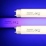 lampadas fluorescentes
