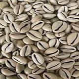 500g