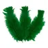 Pacote De Plumas E Penas Coloridas 200 Unidades Cor Verde Bandeira